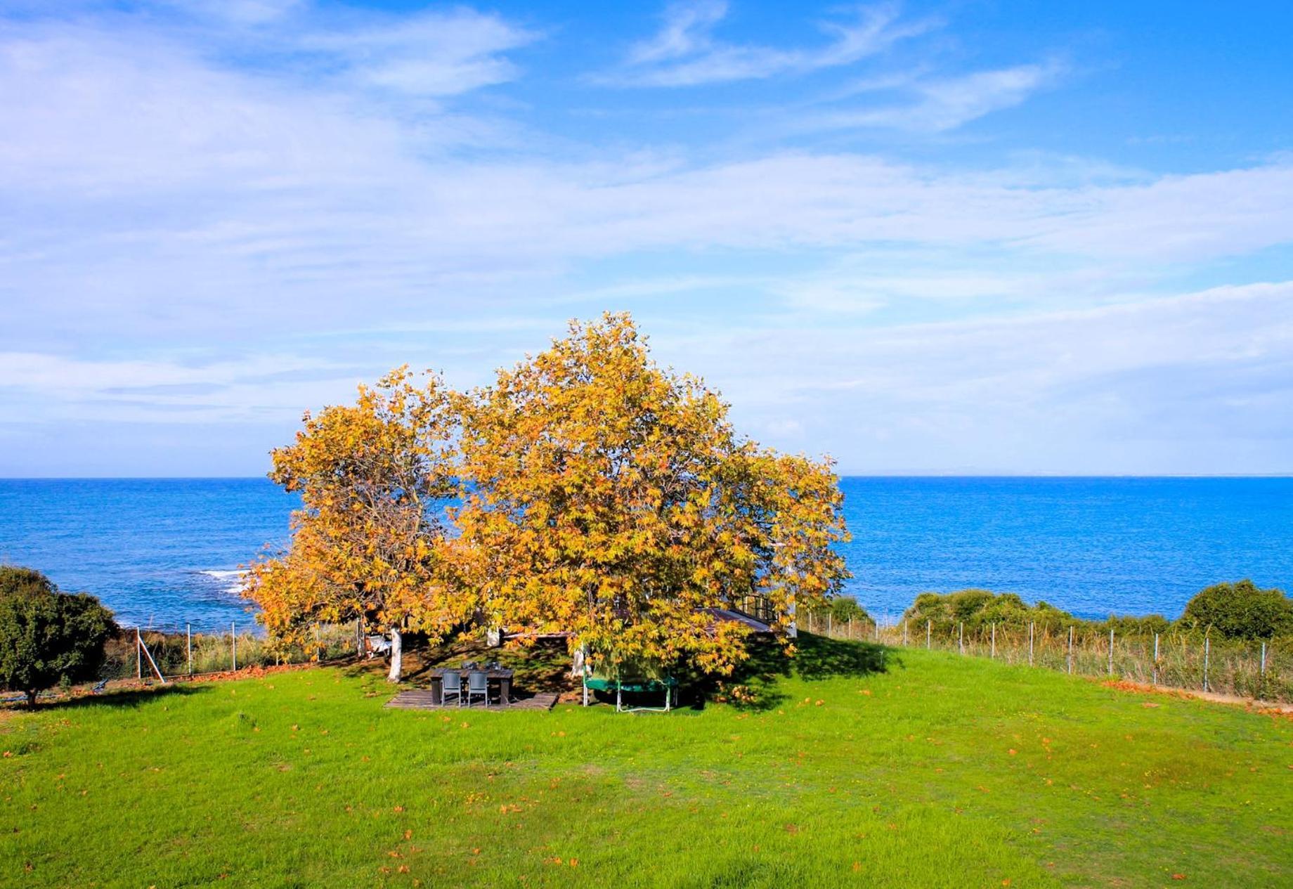 Sea Breeze Ena Lägenhet Korakokhórion Exteriör bild